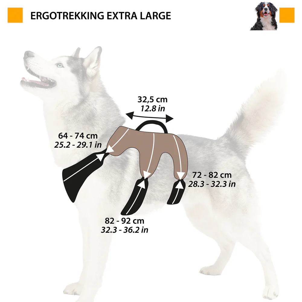 ERGOTREKKING - Image 36