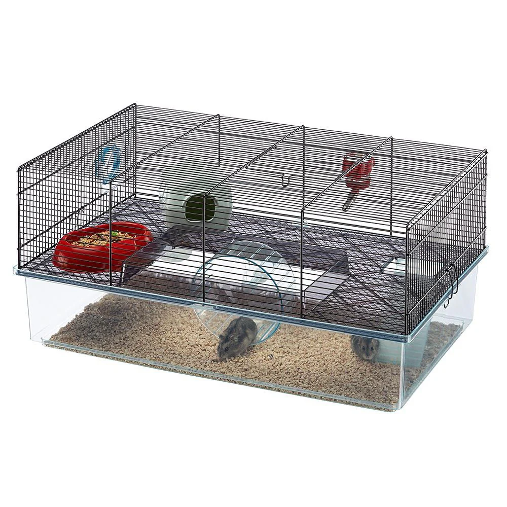 FAVOLA - Image 4