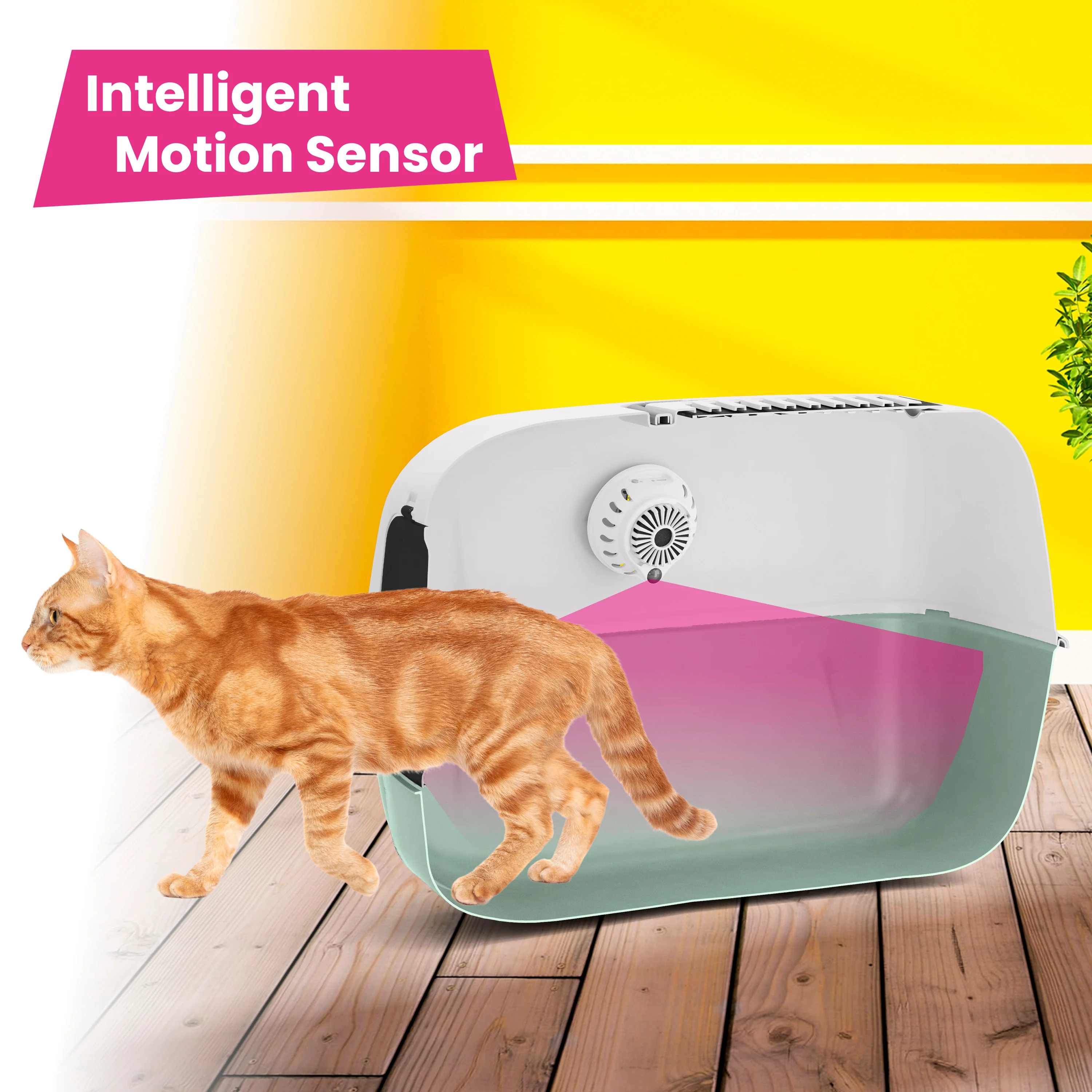 GENICAIR - Image 9