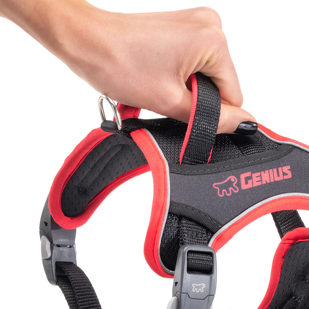 GENIUS P - Image 14