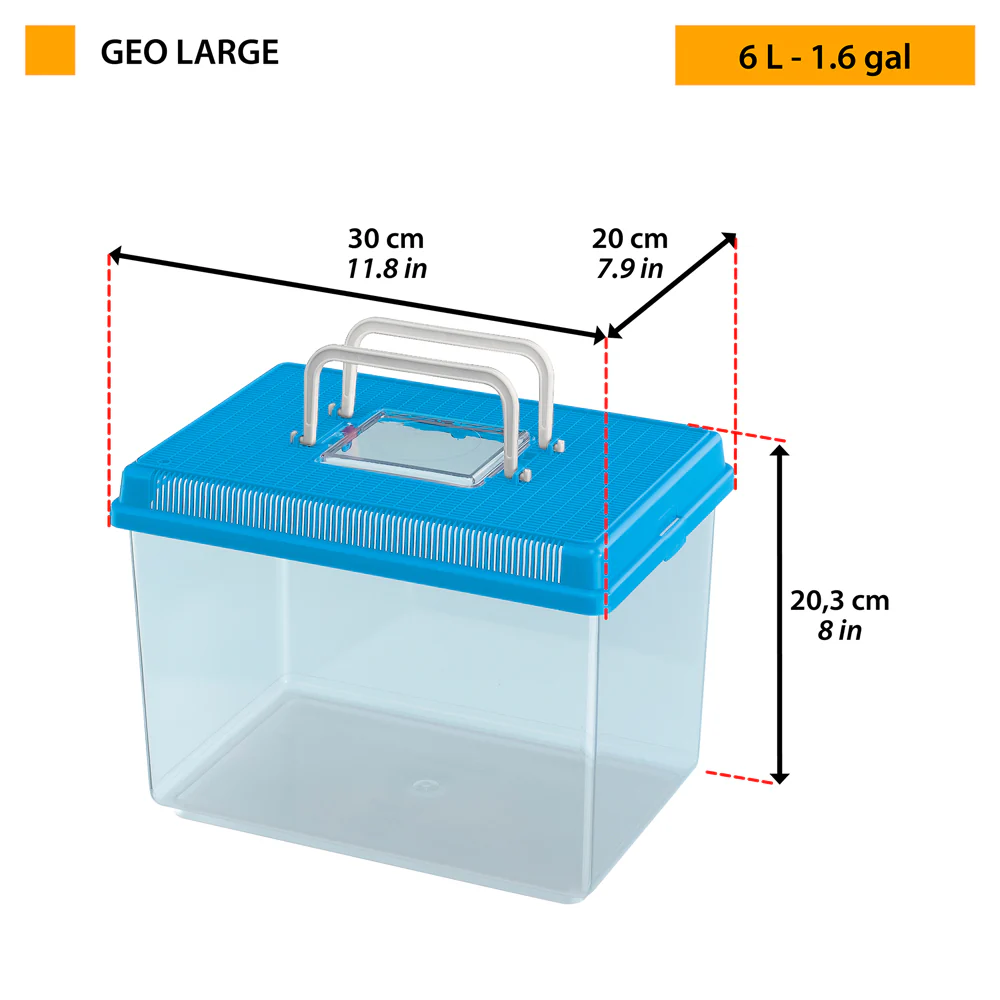 GEO - Image 5
