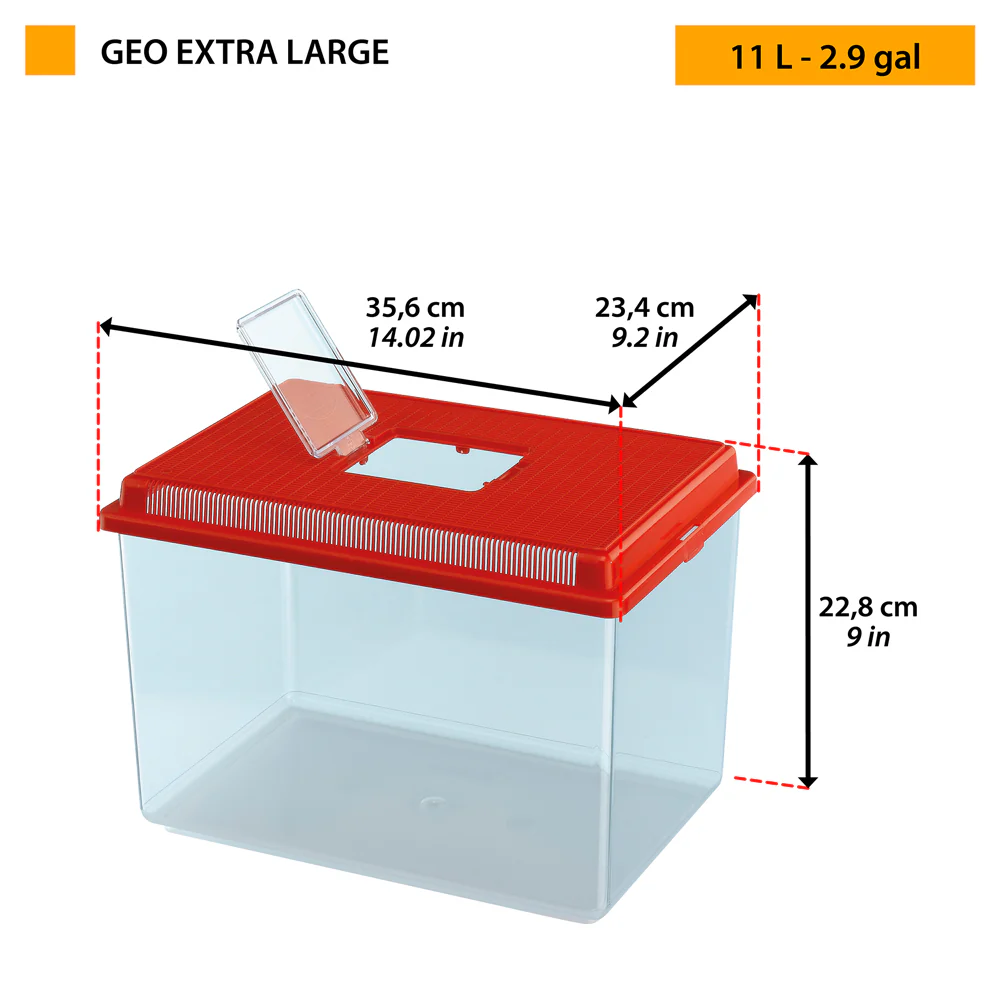 GEO - Image 8