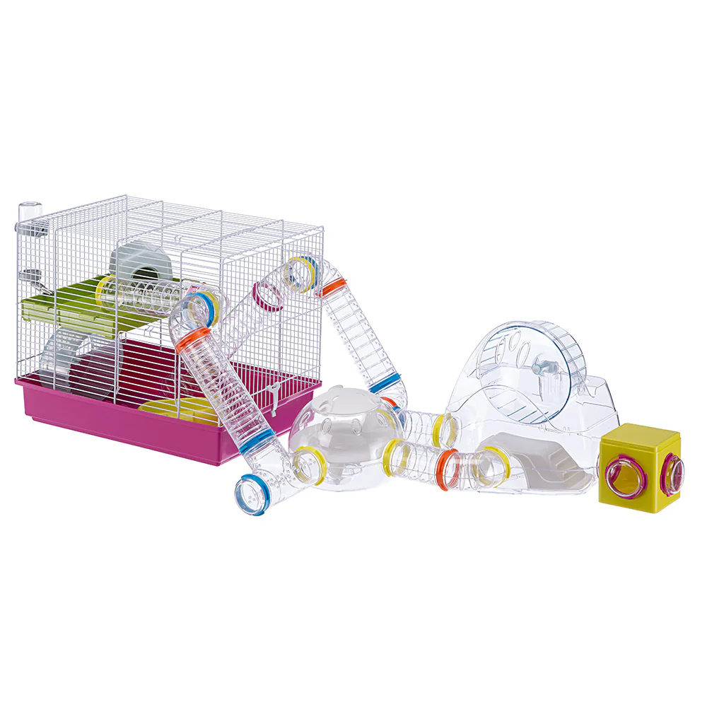 GYM - Image 8