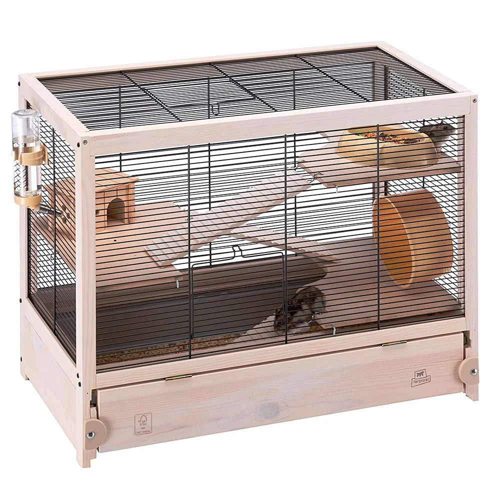 HAMSTERVILLE - Image 5