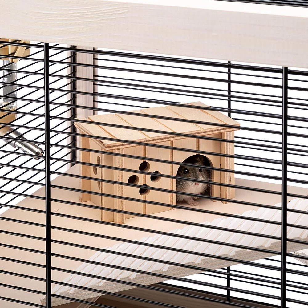 HAMSTERVILLE - Image 7