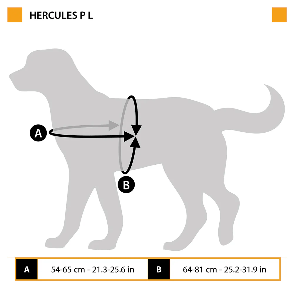 HERCULES P L - Image 2