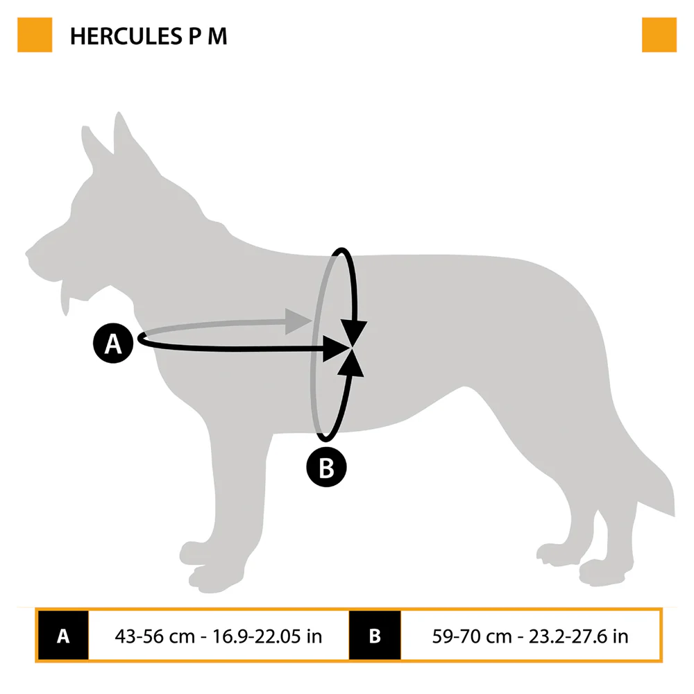 HERCULES P M - Image 2