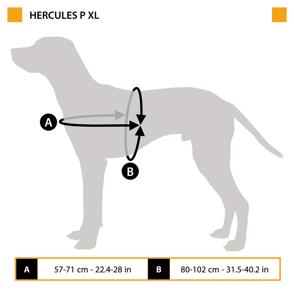 HERCULES P XL - Image 2