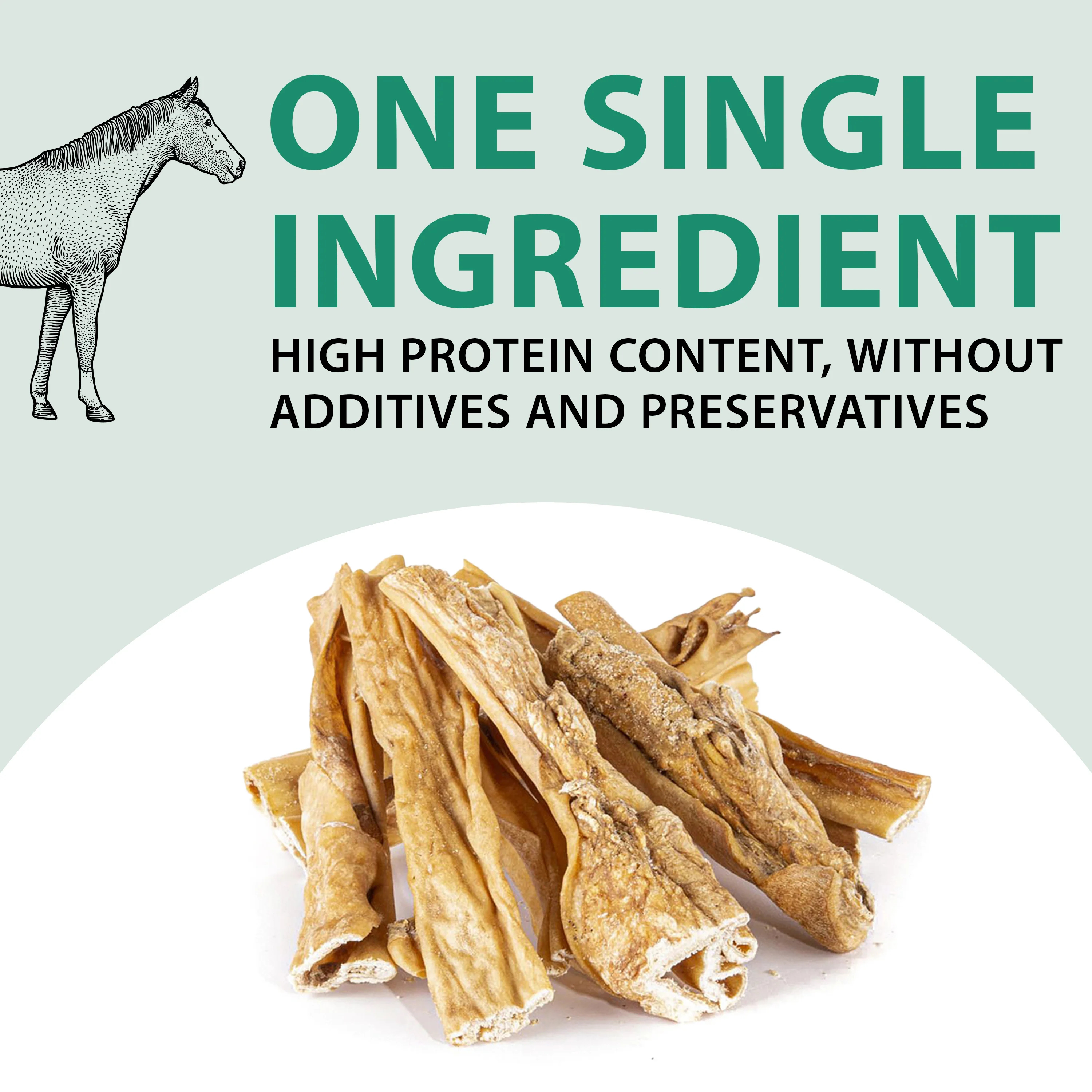 HORSE SKIN - Image 4