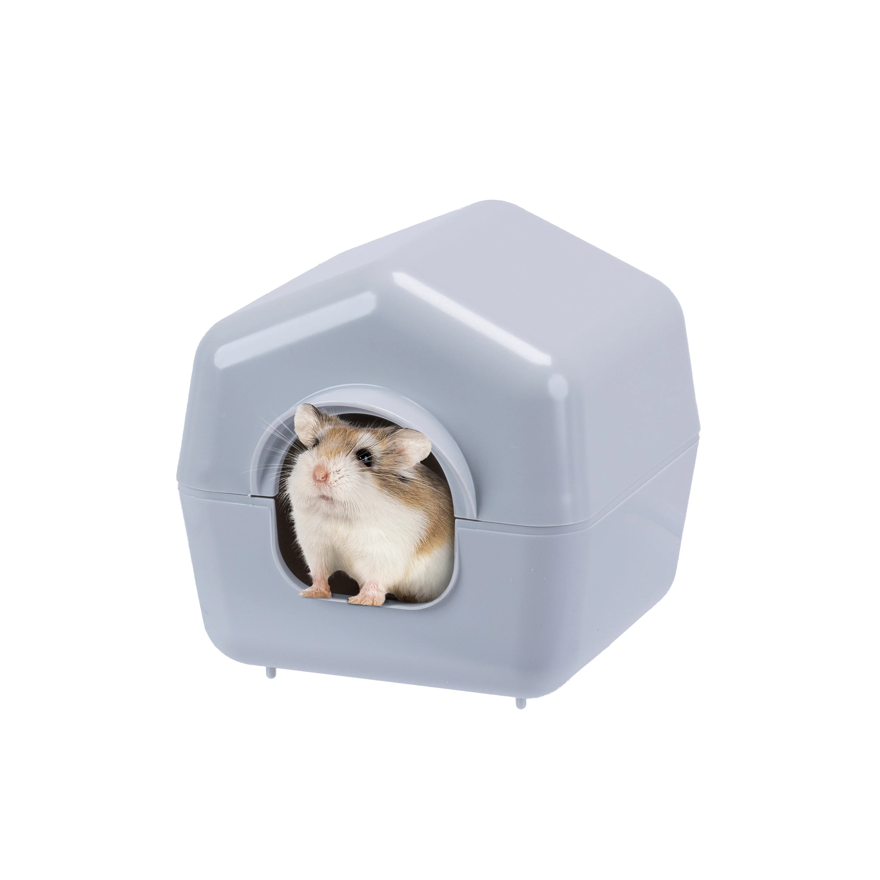 ISBA - Image 4