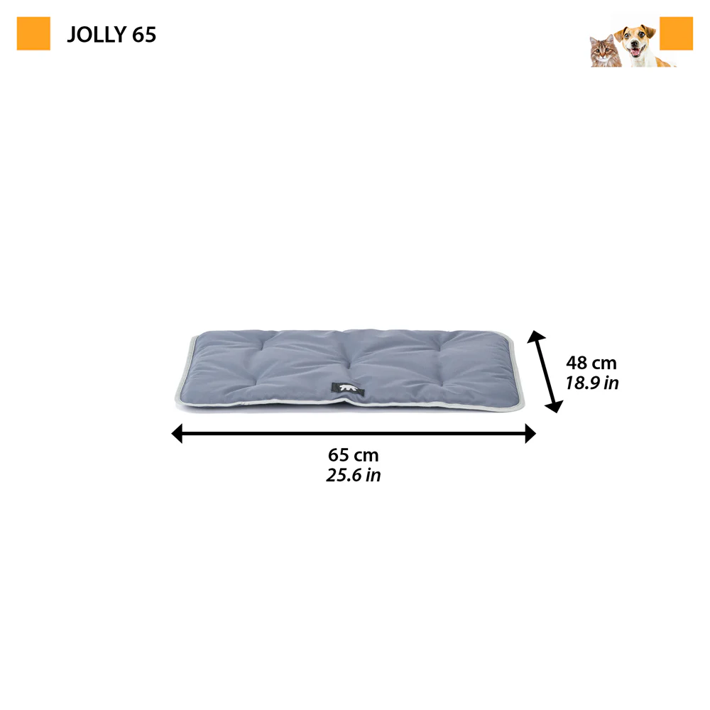 JOLLY - Image 17