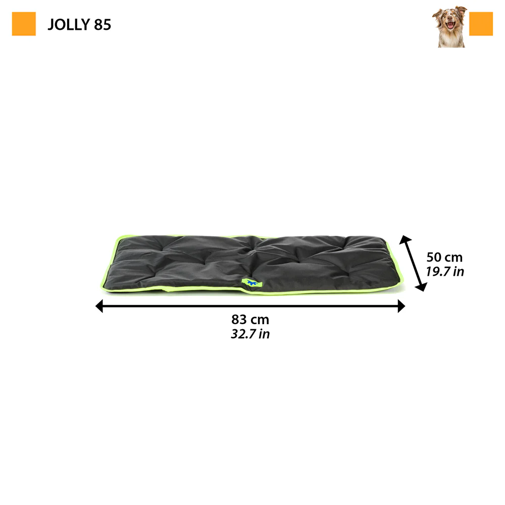 JOLLY - Image 30