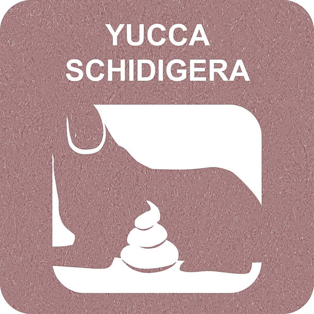 100% SNACK FILLABLE - CANDY YUCCA - Image 3