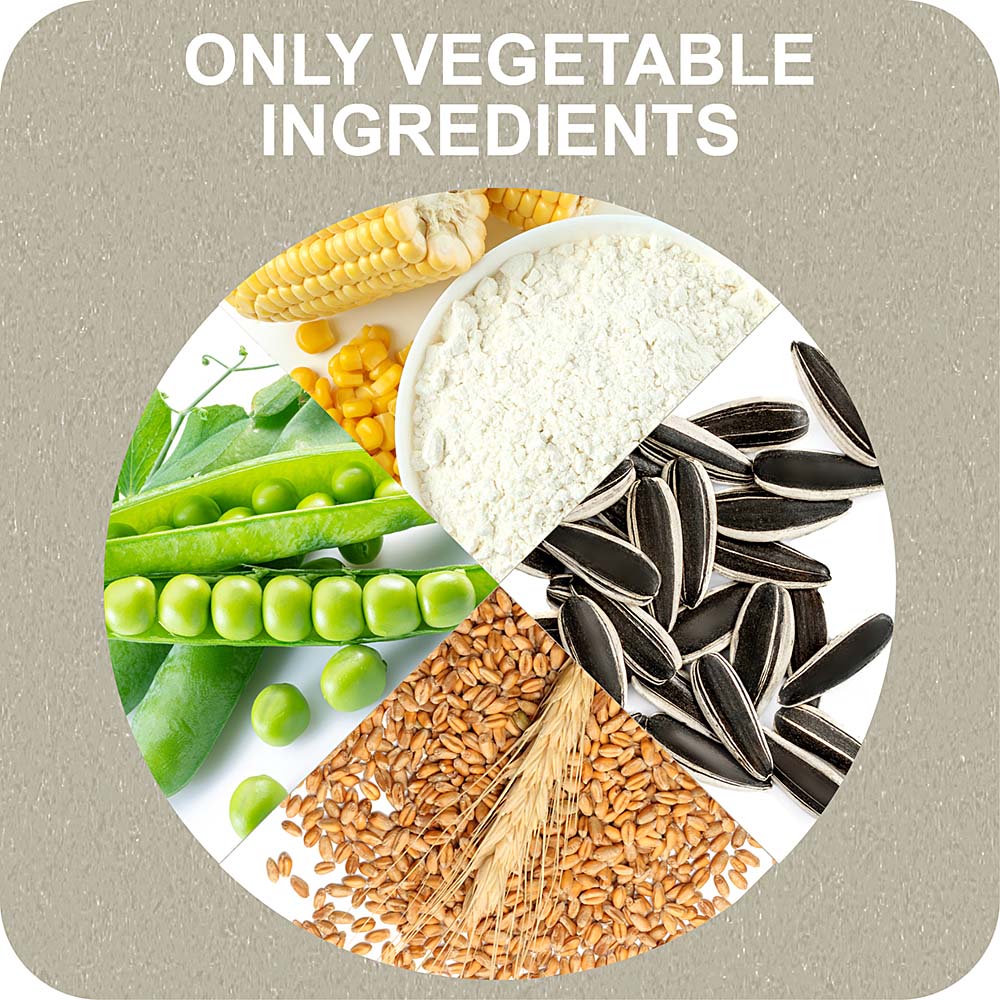100% SNACK FILLABLE - CANDY YUCCA - Image 5