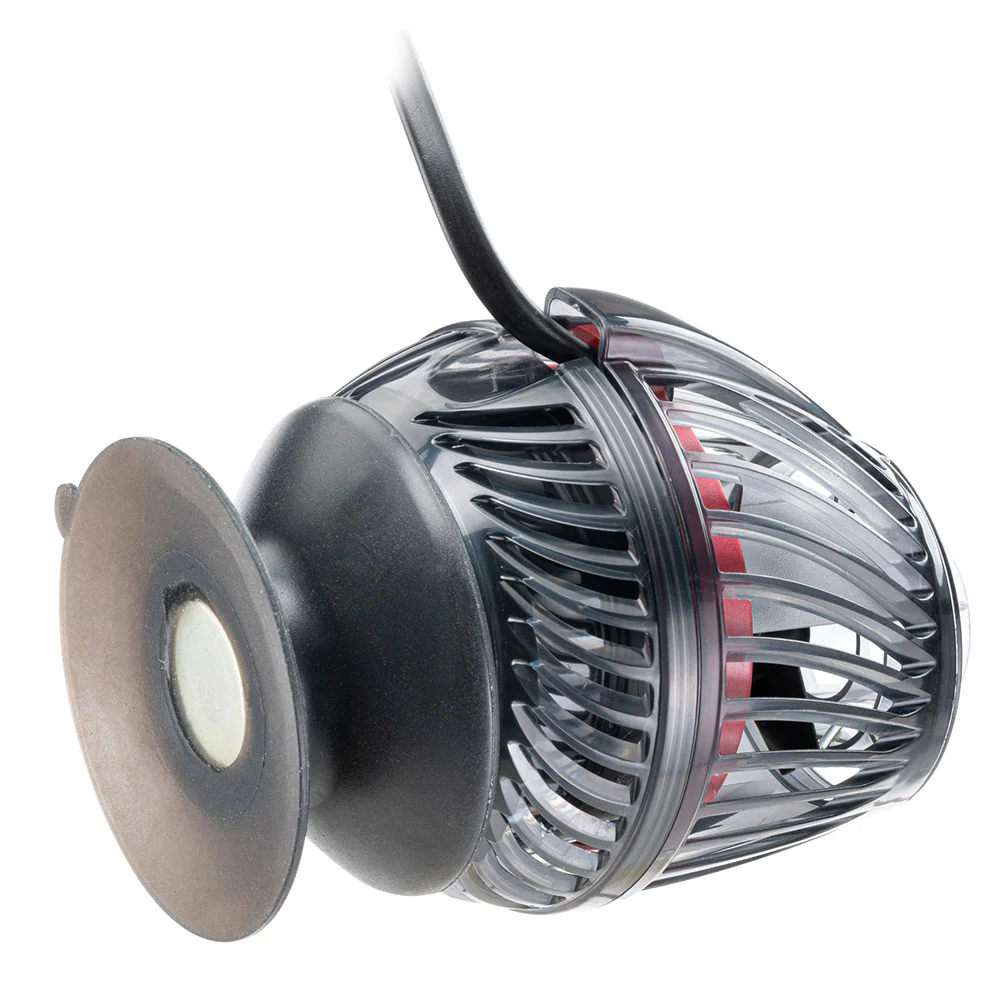 KORALIA G3 - Image 6