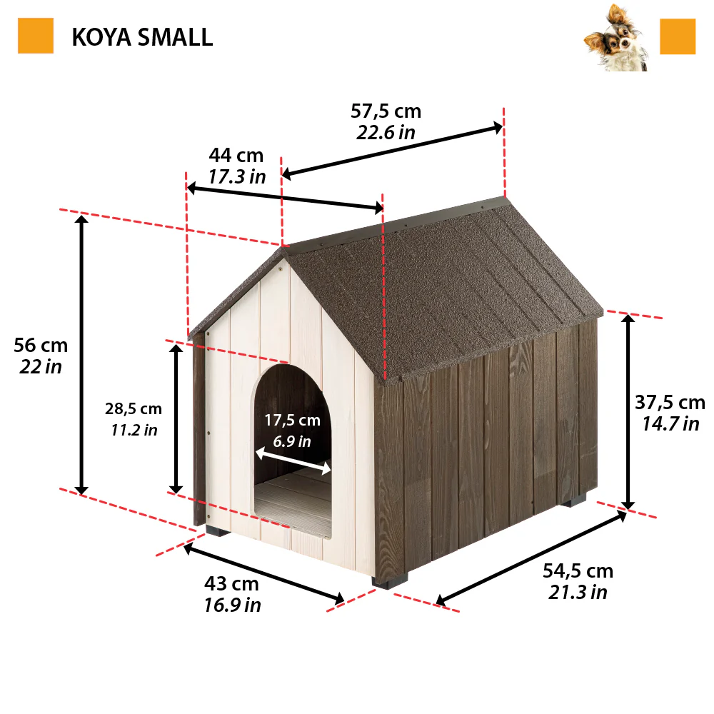KOYA - Image 7