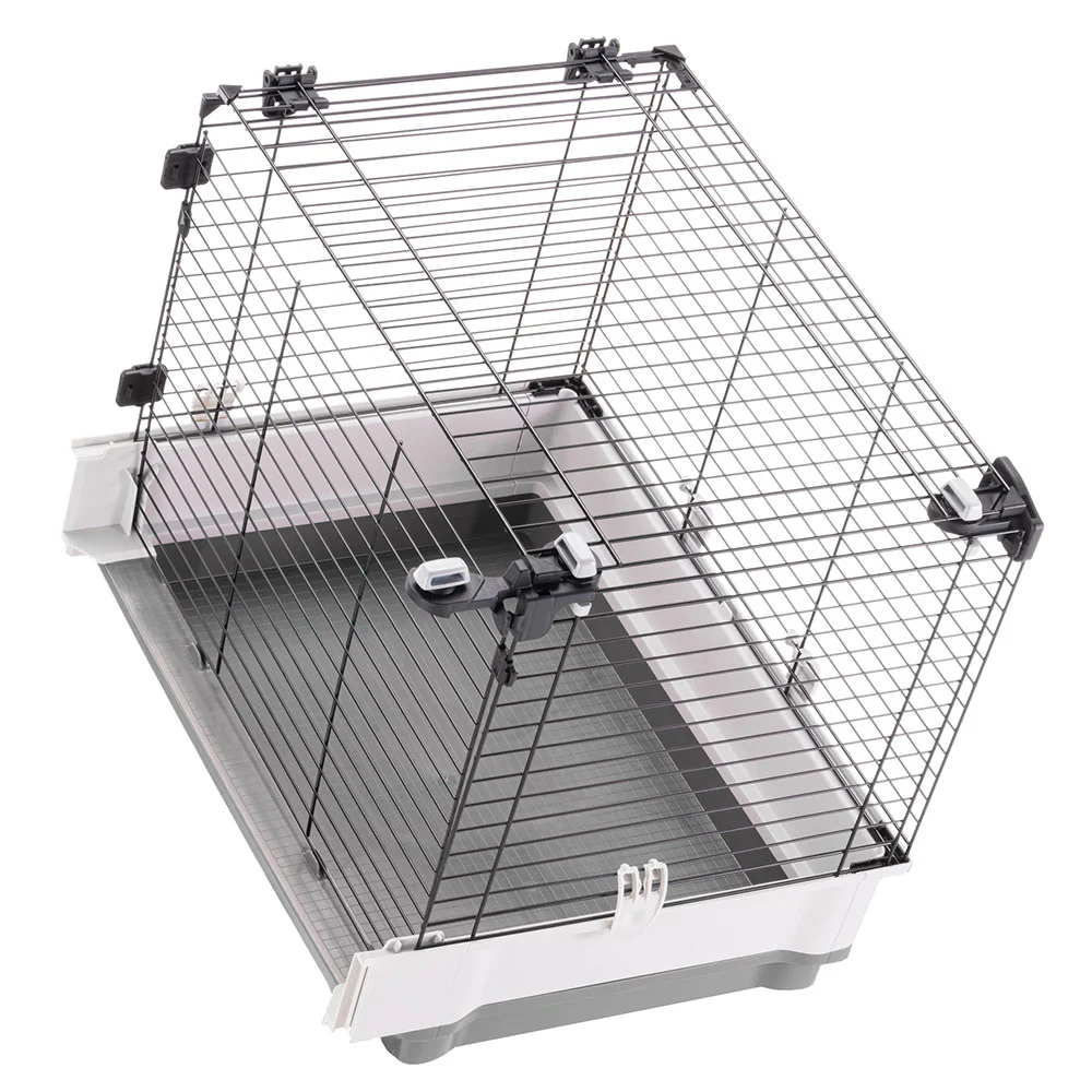 KROLIK EXTENSION - Image 5