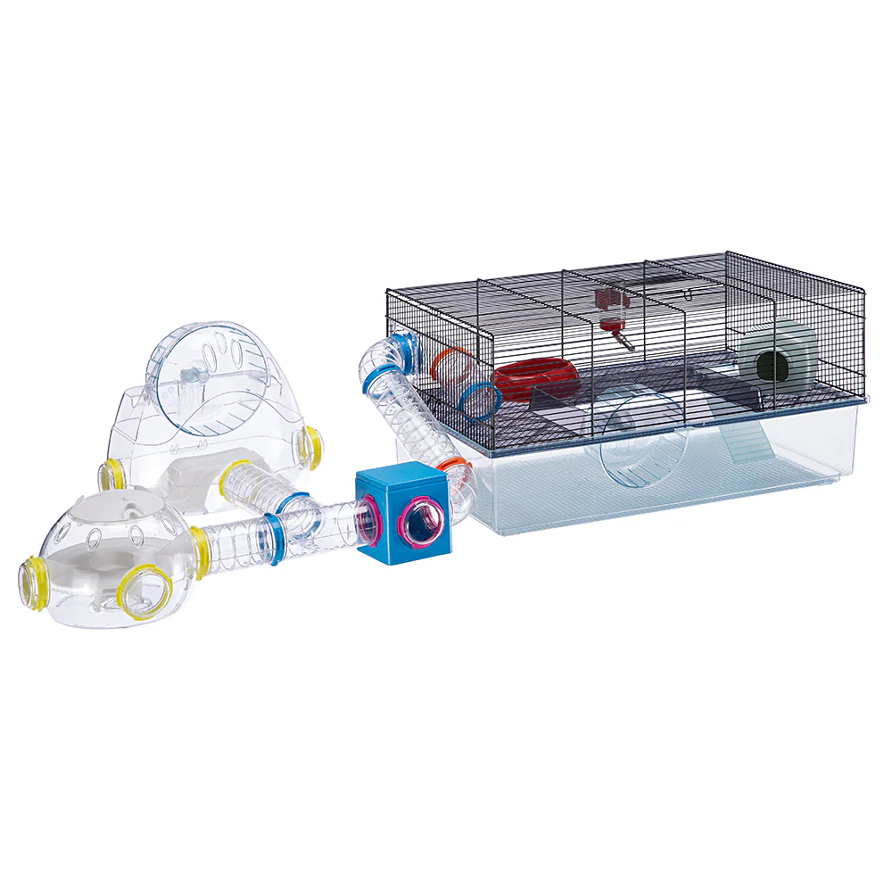 LAB - Image 6