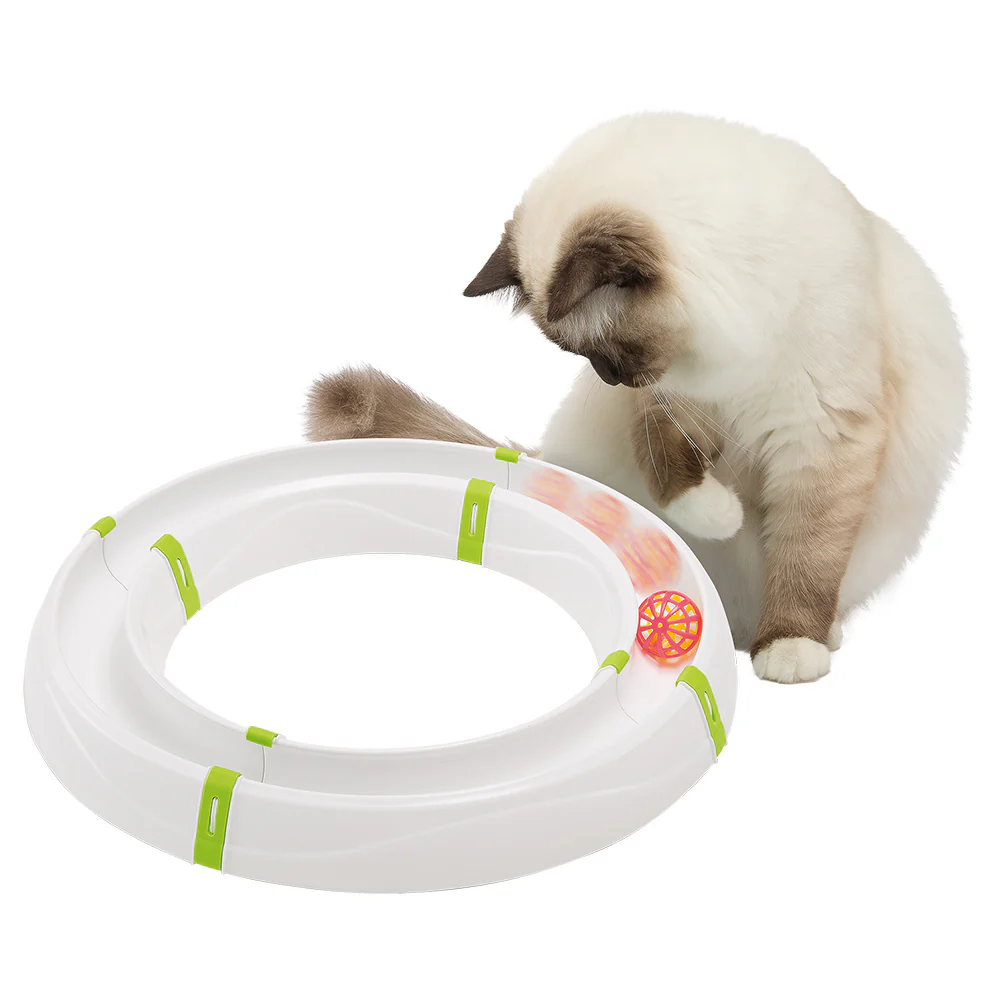 MAGIC CIRCLE - Image 3