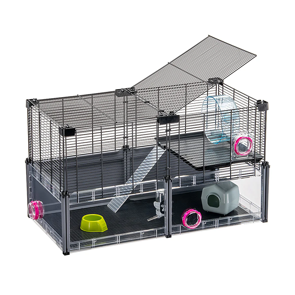 MULTIPLA HAMSTER - Image 4