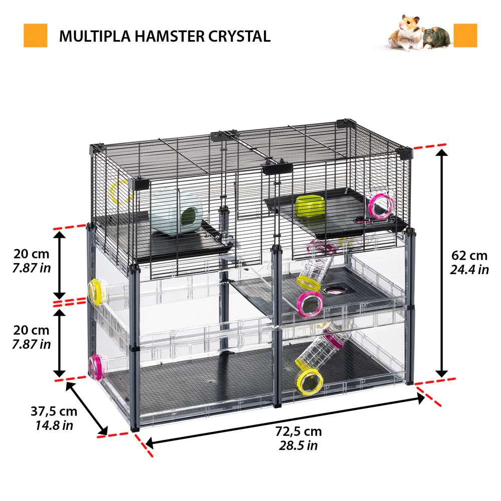 MULTIPLA HAMSTER CRYSTAL - Image 2