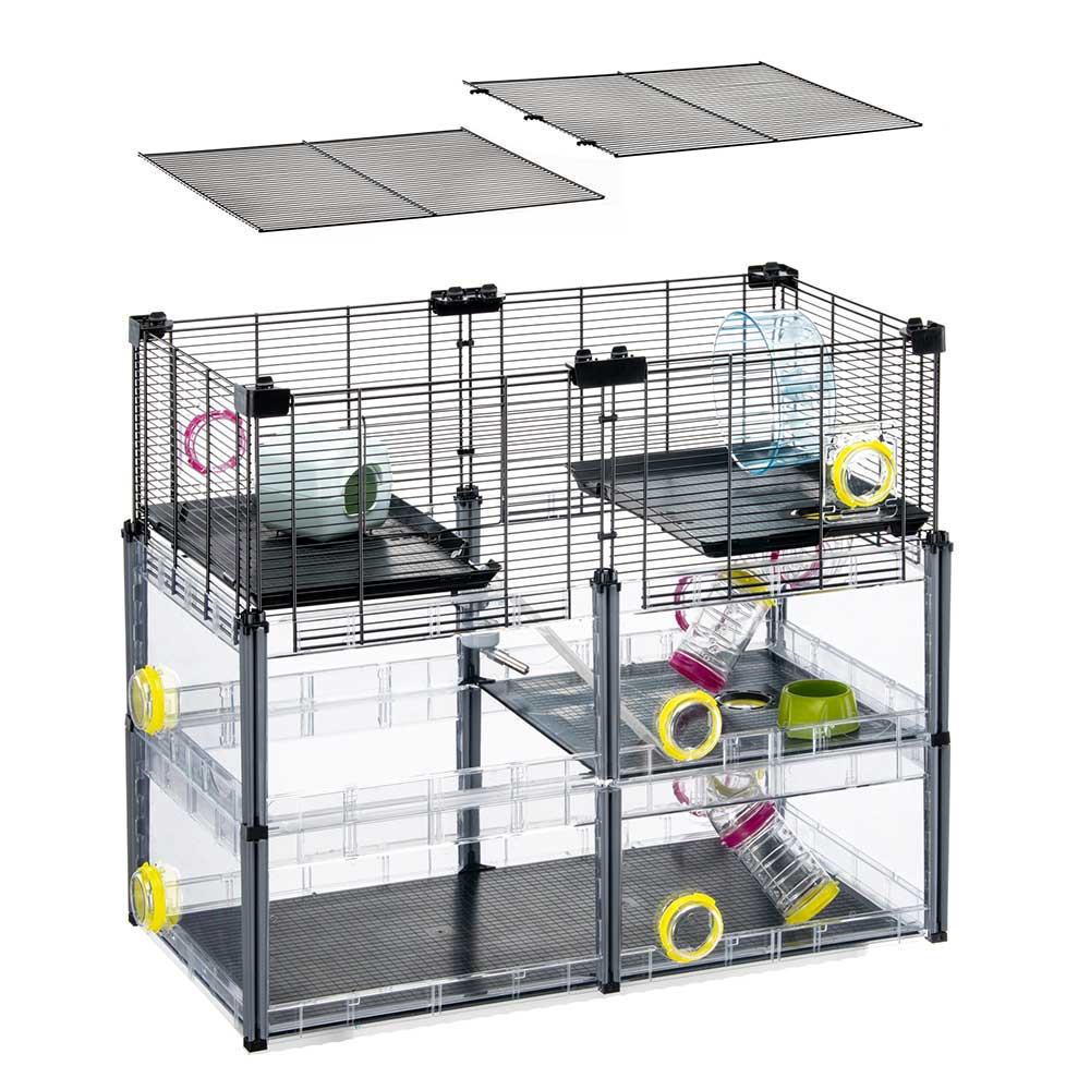 MULTIPLA HAMSTER CRYSTAL - Image 5