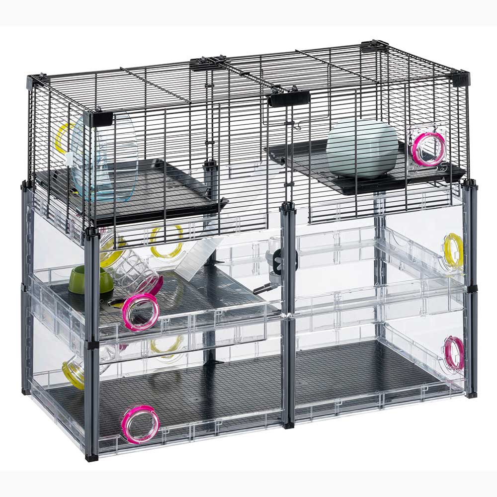 MULTIPLA HAMSTER CRYSTAL - Image 7