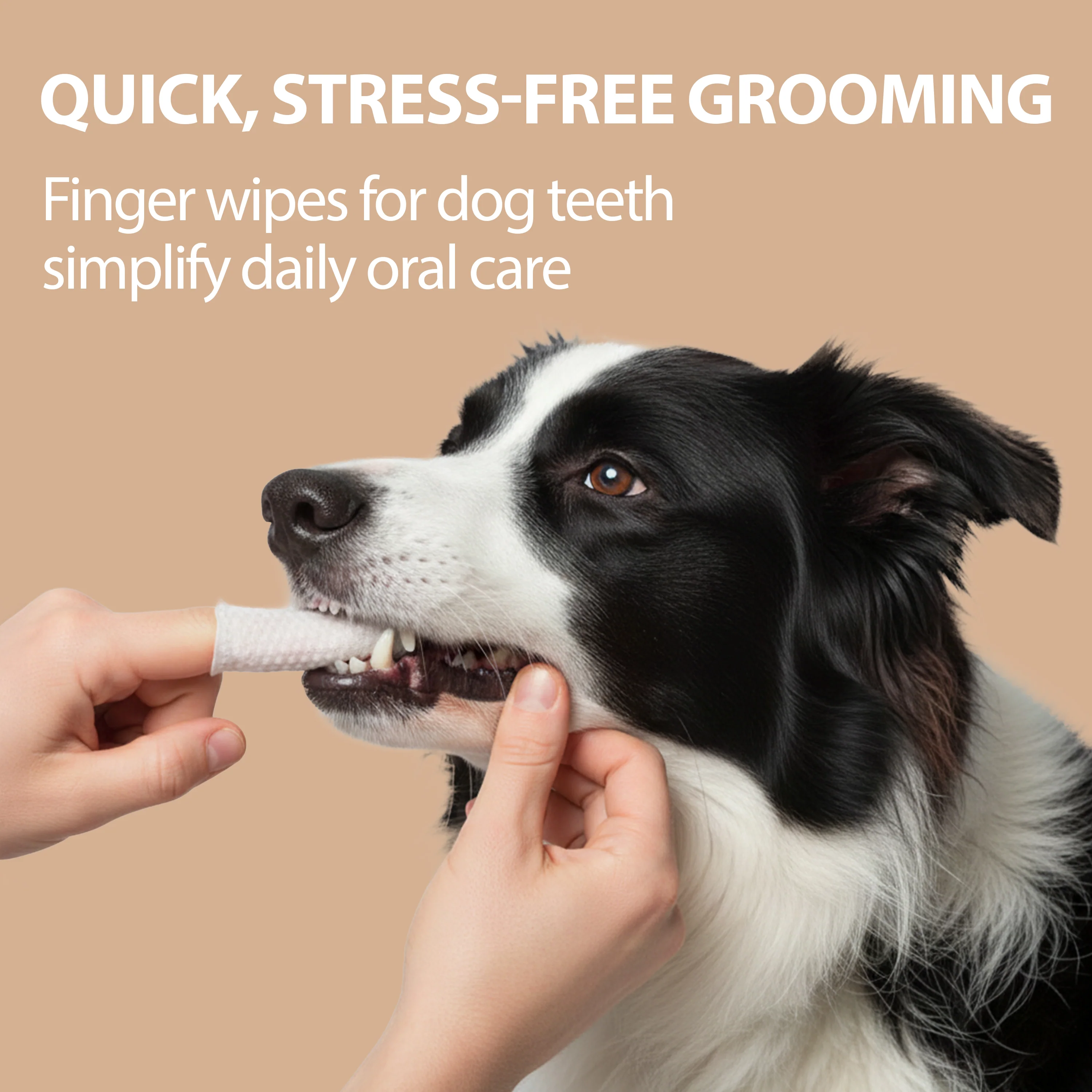 DISPOSABLE DENTAL FINGER PADS FOR DOGS AND CATS NATURÉ (x50) - Image 4