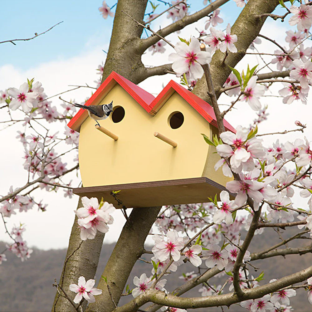 NEST FUN 5 - Image 4