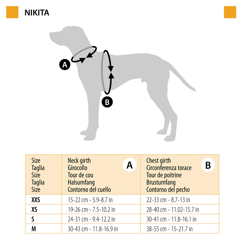 NIKITA P - Image 3