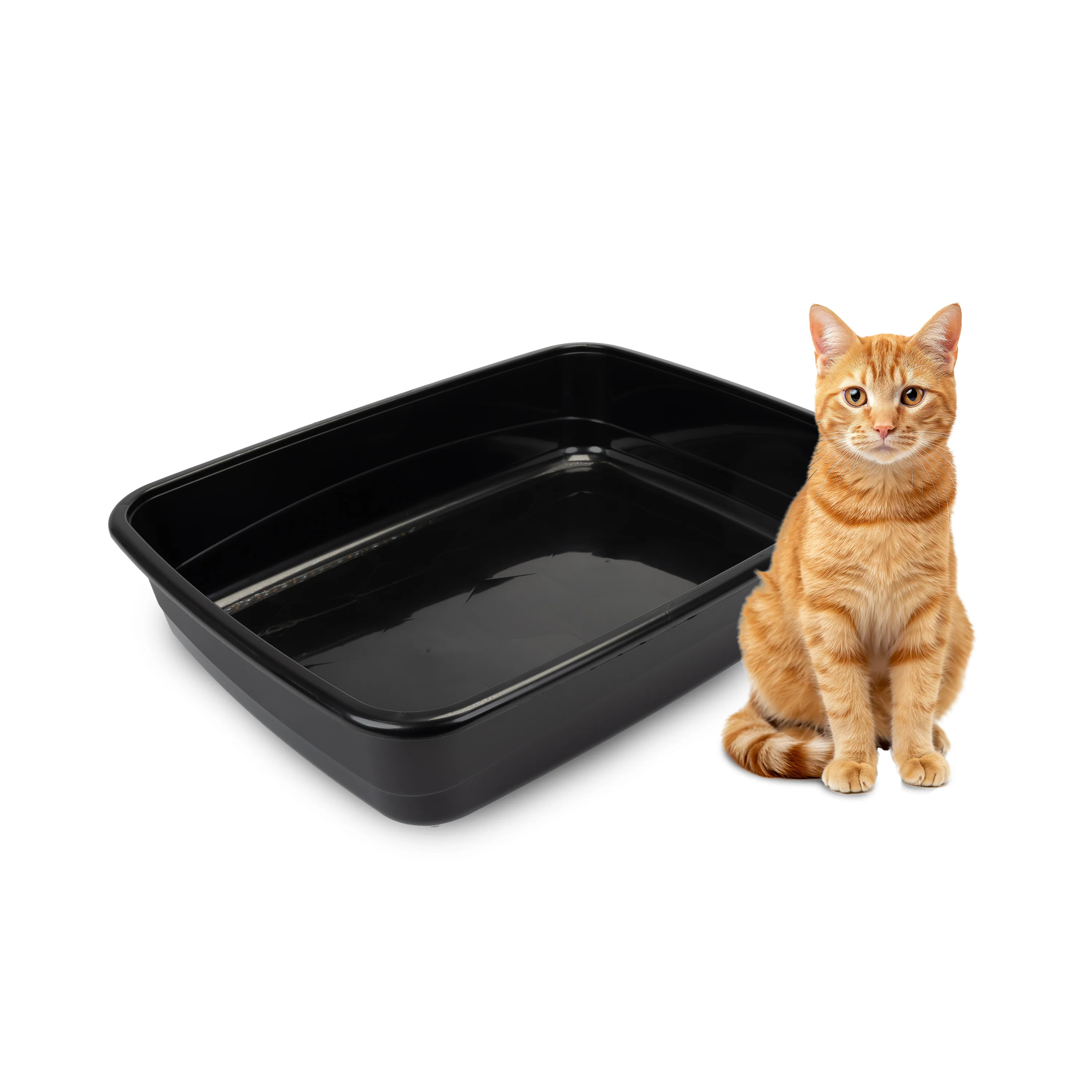 NIP 30 - Image 4