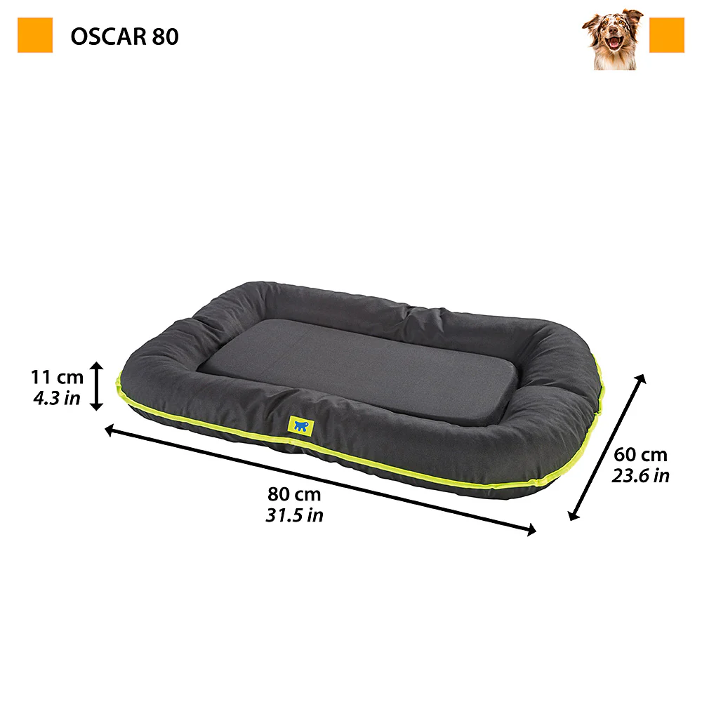OSCAR - Image 9