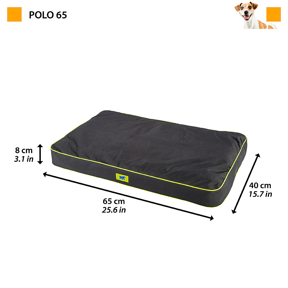 POLO - Image 16