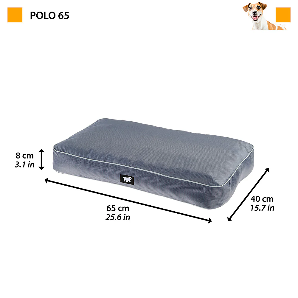 POLO - Image 2