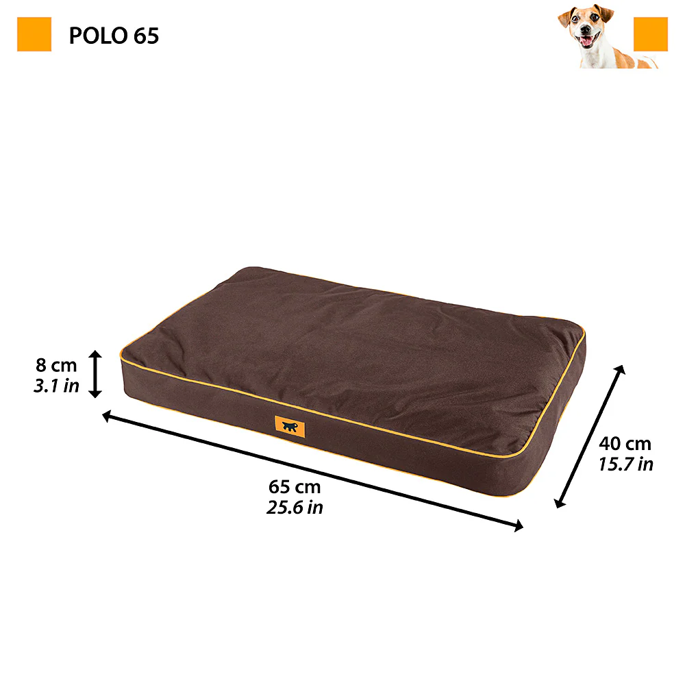 POLO - Image 9