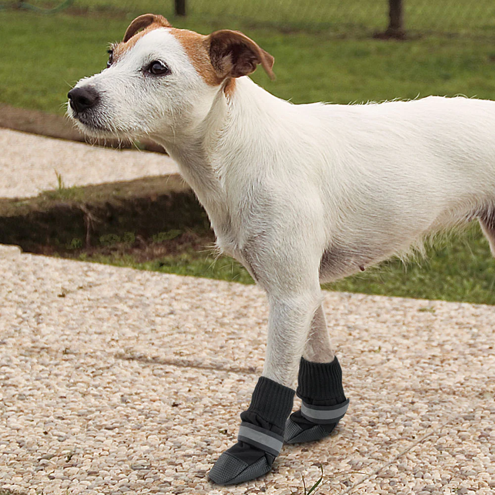 PROTECTIVE SHOES - Image 3