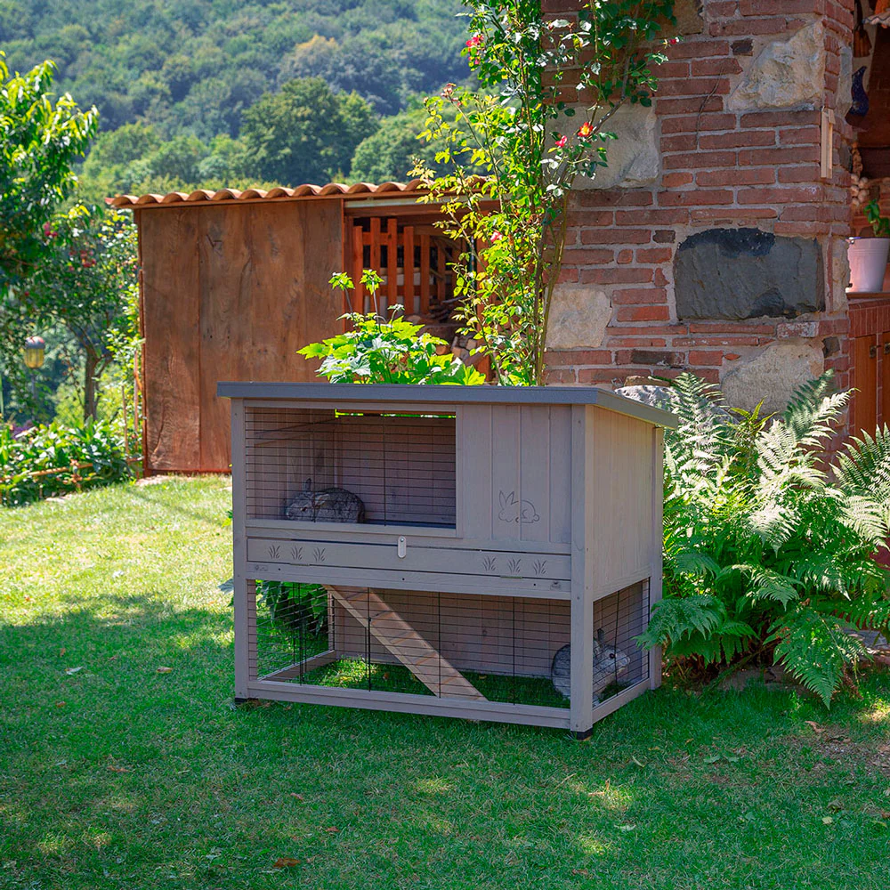 RANCH - Image 4