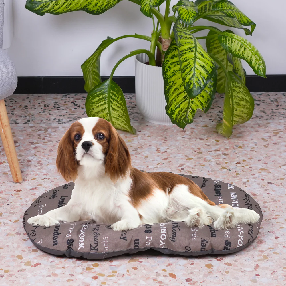 RELAX C - Image 19