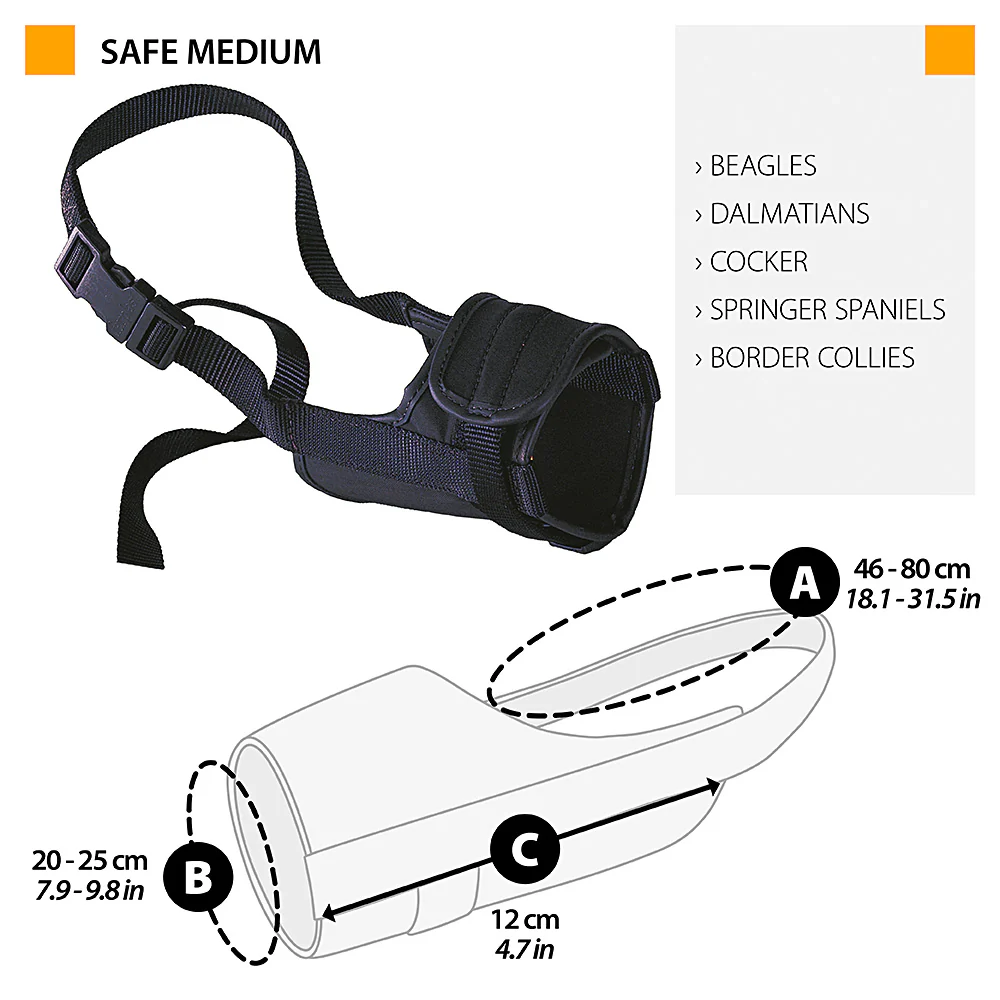 SAFE - Image 10
