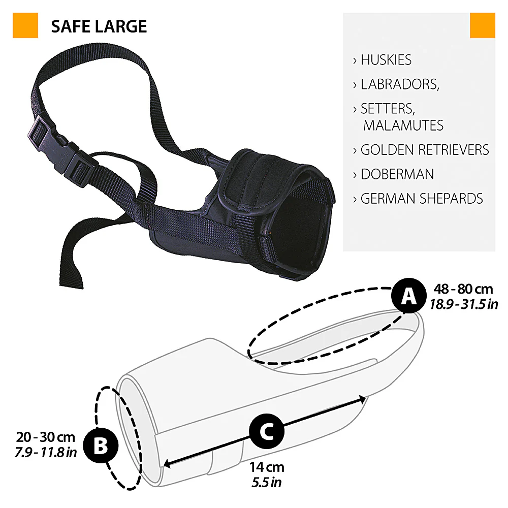 SAFE - Image 11