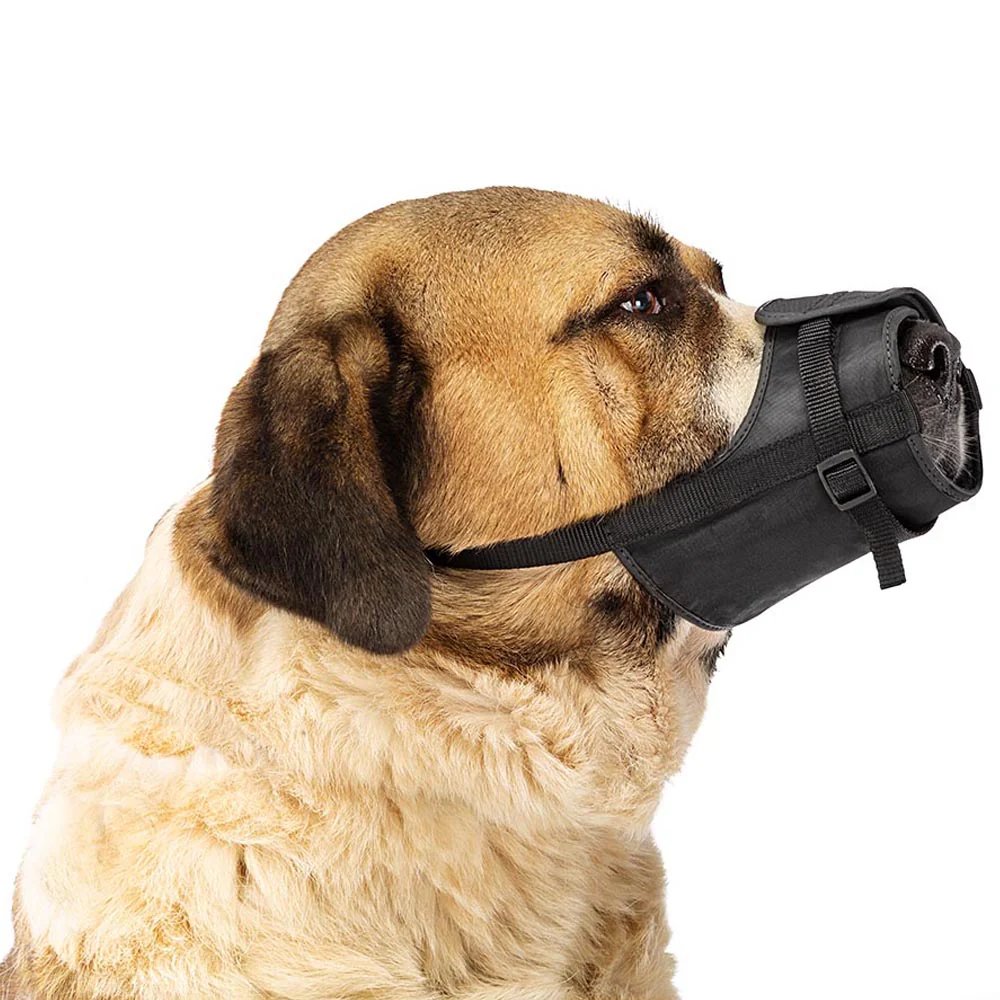 SAFE - Image 15