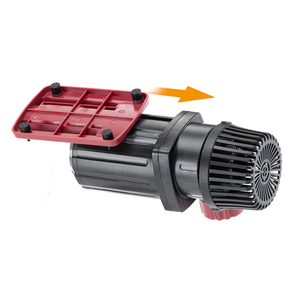 SELTZ D DC - Image 5