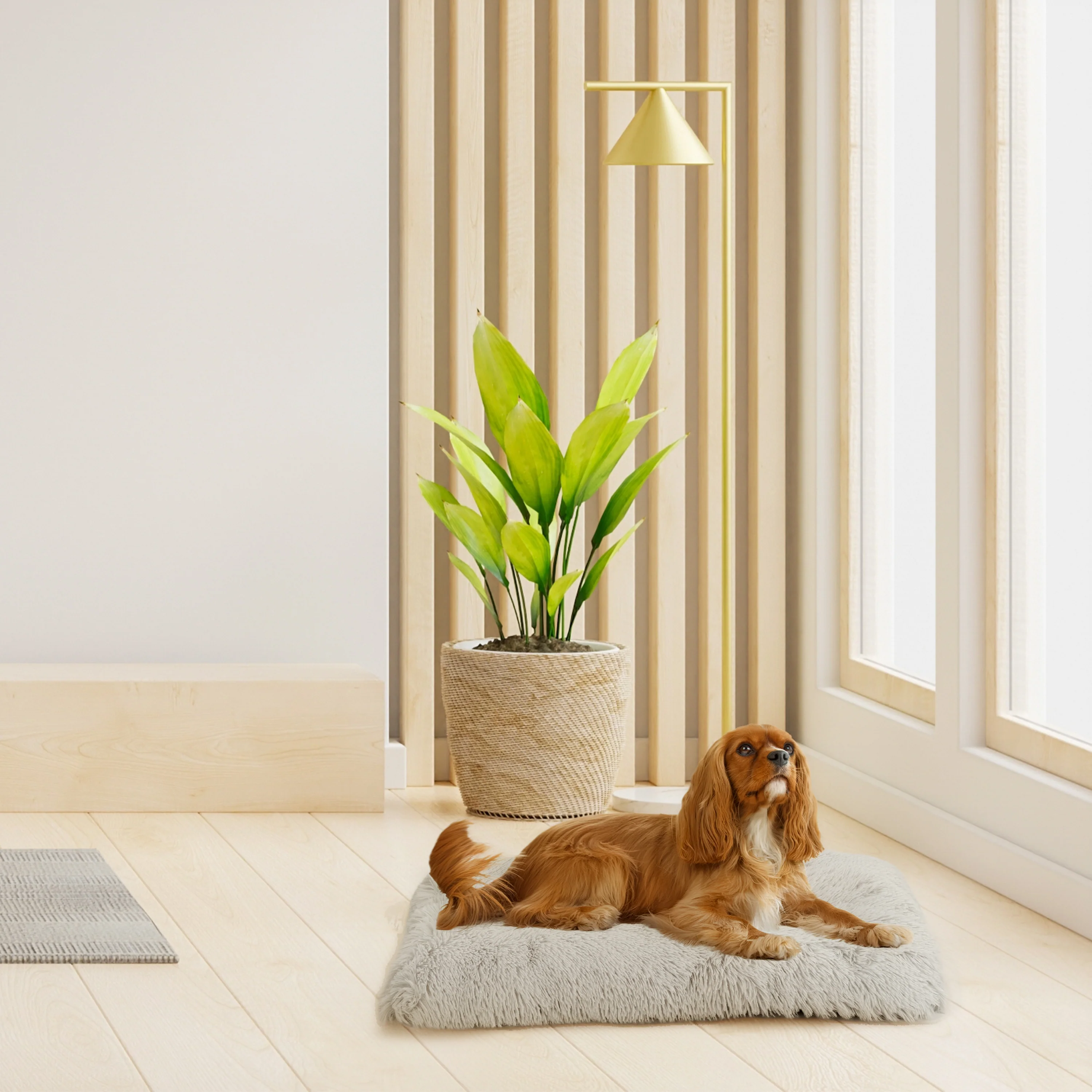 SHANTI Cat & Dog Cushion - Image 10
