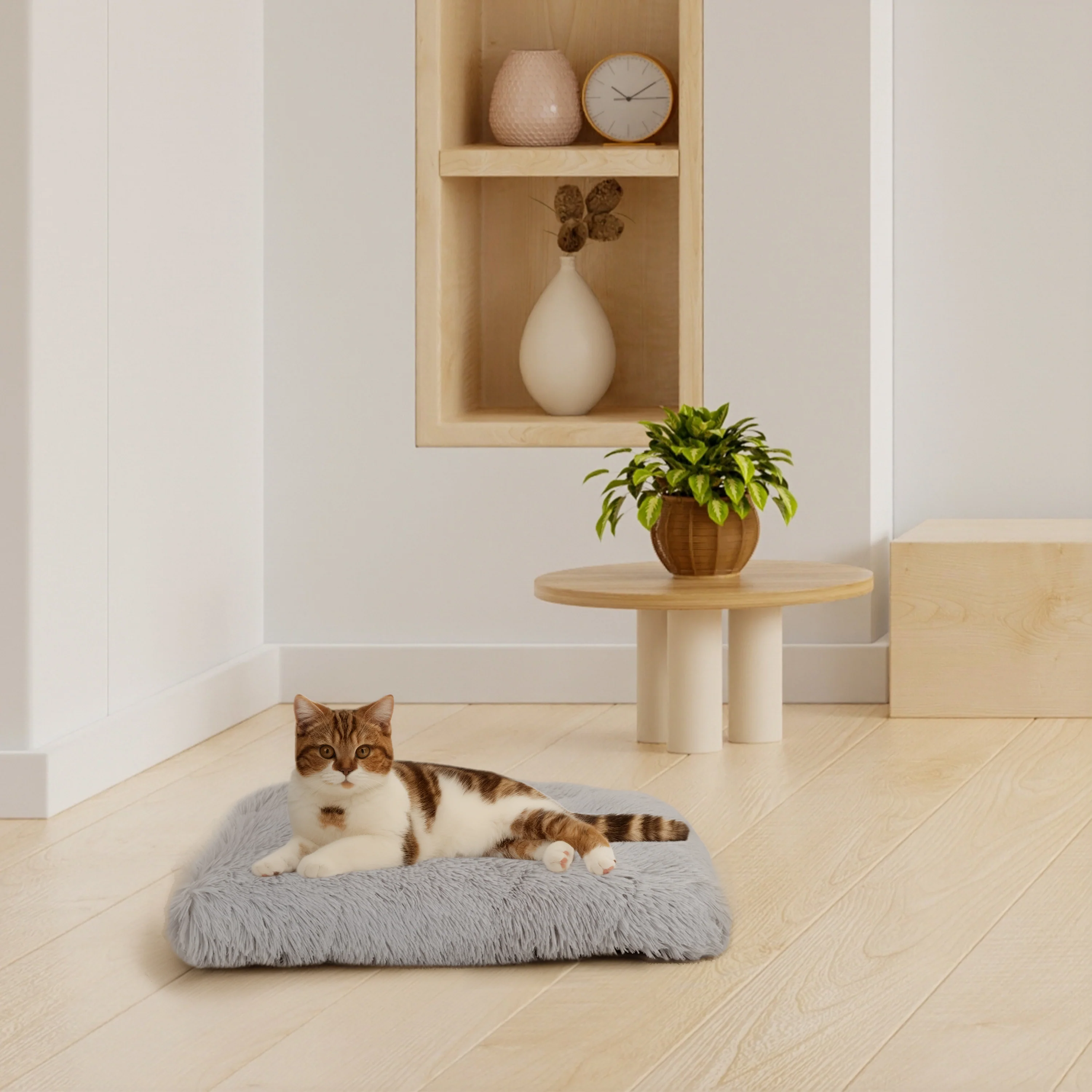 SHANTI Cat & Dog Cushion - Image 3