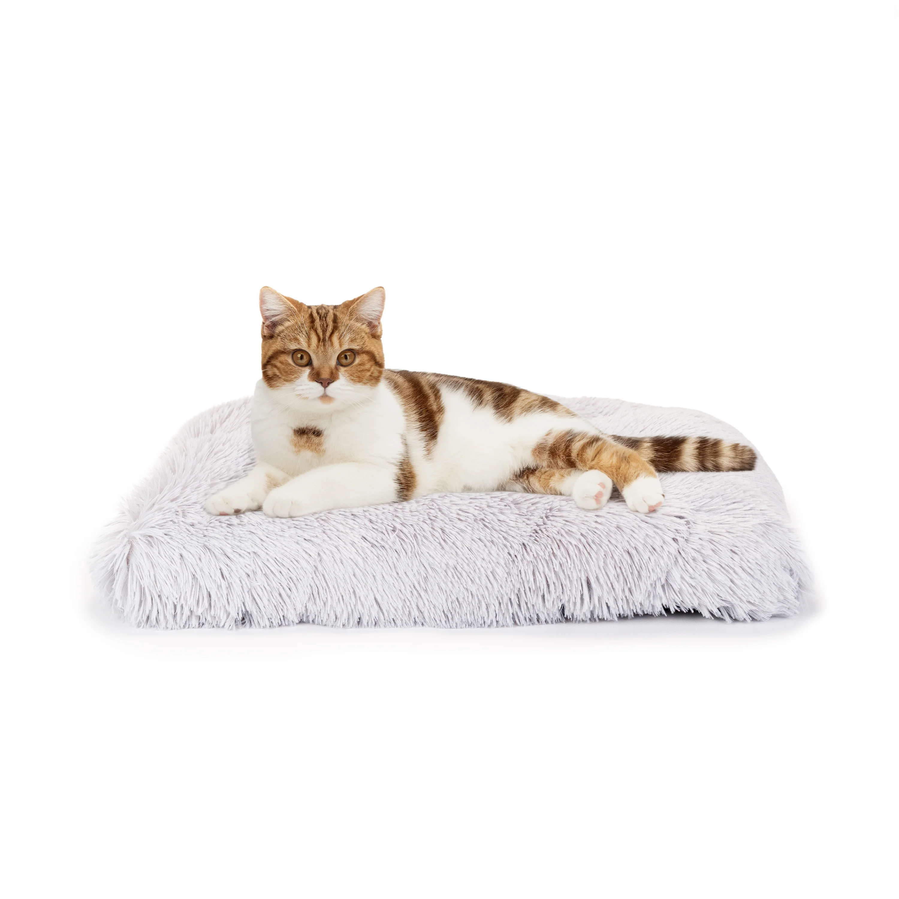 SHANTI Cat & Dog Cushion - Image 4