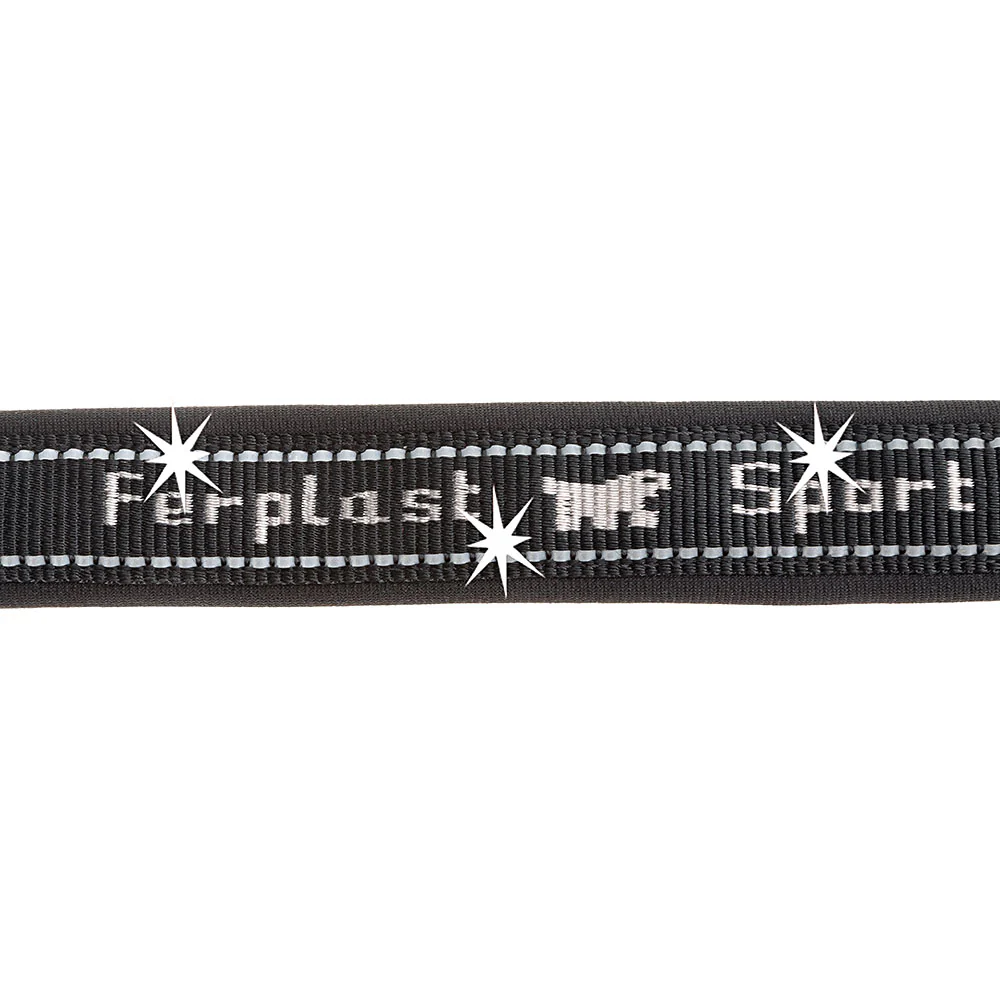 SPORT DOG C - Image 12