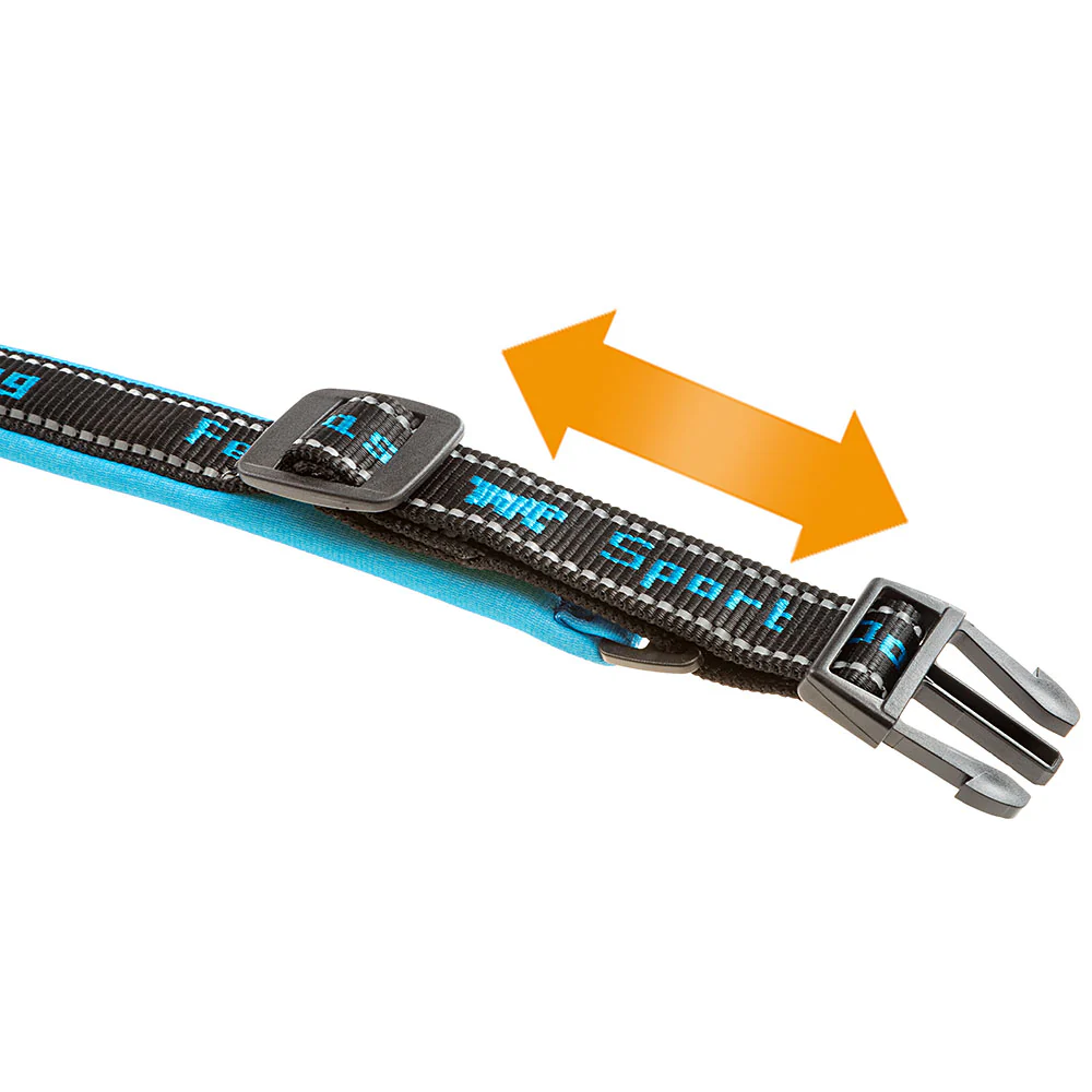 SPORT DOG C - Image 17