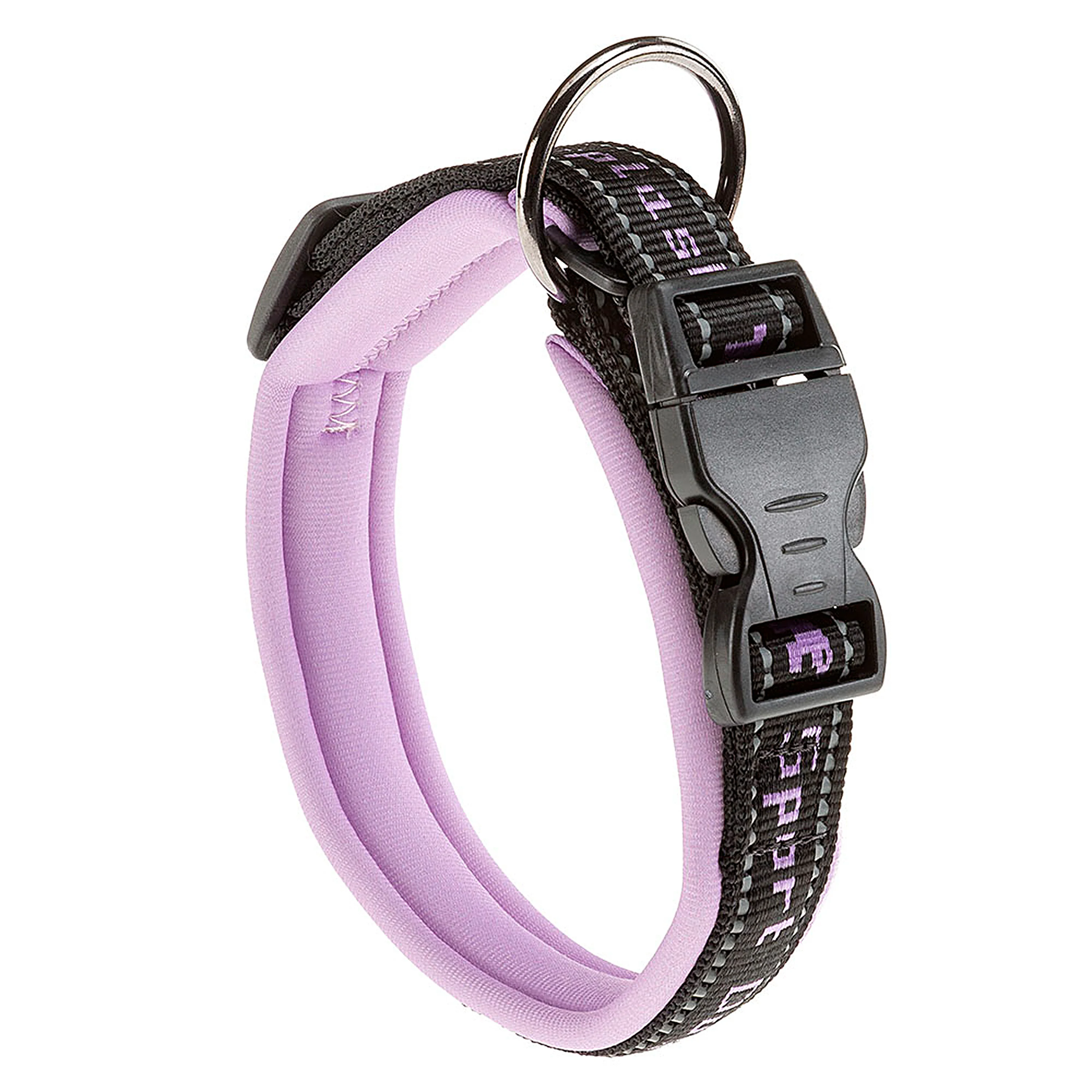 SPORT DOG C - Image 36