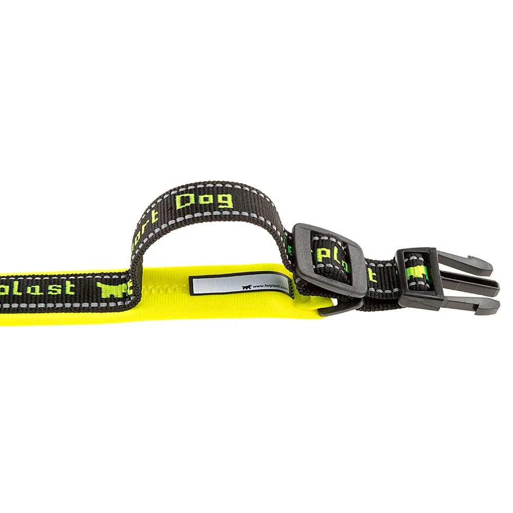 SPORT DOG C - Image 4