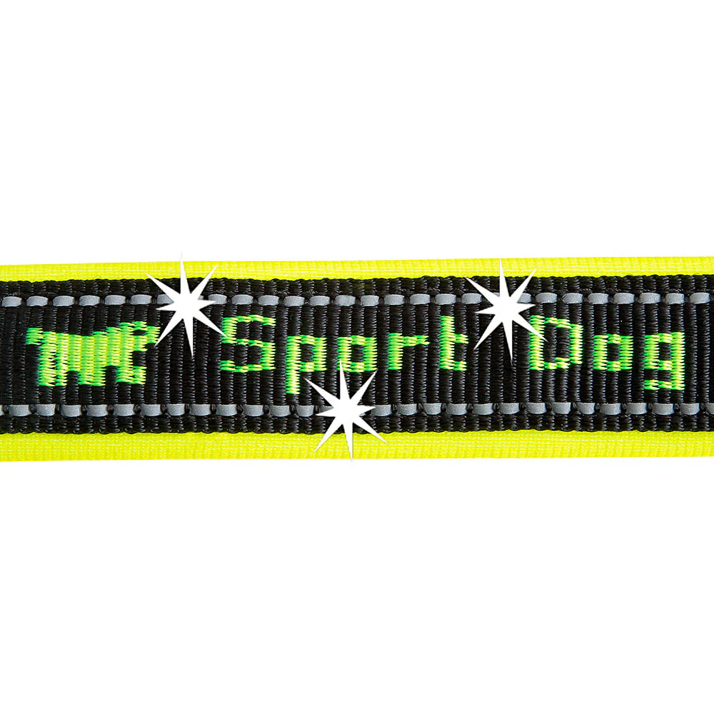 SPORT DOG C - Image 6
